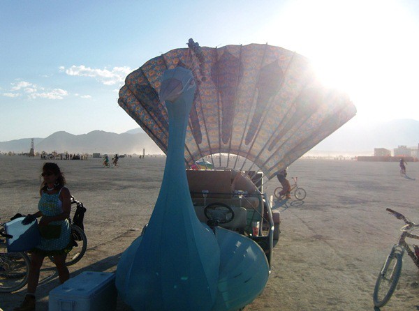 Peacock car in the sun